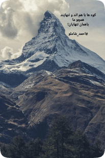 خبر تصویری